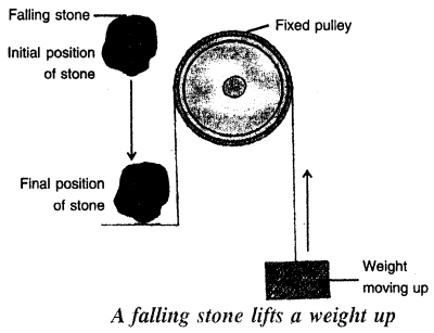 Selina Concise Physics Class 7 ICSE Solutions Chapter 3 Energy 5