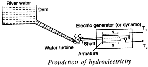 Selina Concise Physics Class 7 ICSE Solutions Chapter 3 Energy 7
