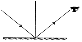 Selina Concise Physics Class 7 ICSE Solutions Chapter 4 Light Energy 17