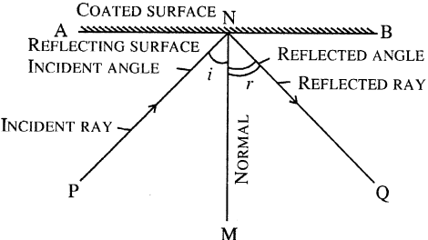 Selina Concise Physics Class 7 ICSE Solutions Chapter 4 Light Energy 2