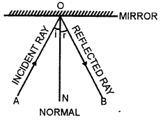 Selina Concise Physics Class 7 ICSE Solutions Chapter 4 Light Energy 5