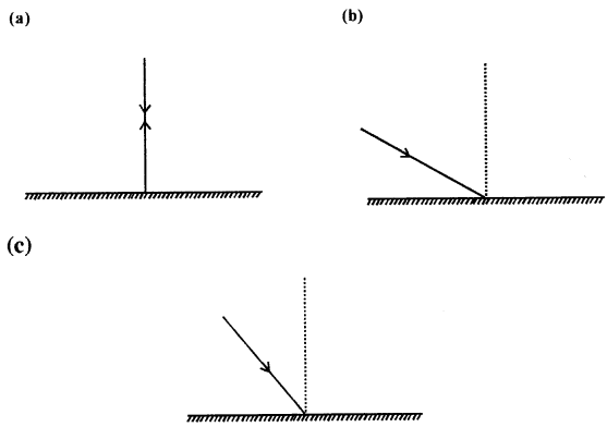 Selina Concise Physics Class 7 ICSE Solutions Chapter 4 Light Energy 8