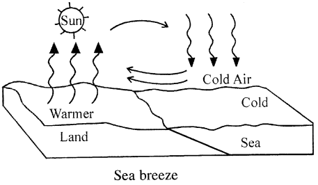 Selina Concise Physics Class 7 ICSE Solutions Chapter 5 Heat 9