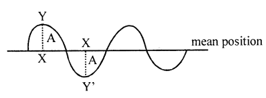 Selina Concise Physics Class 7 ICSE Solutions Chapter 6 Sound 6