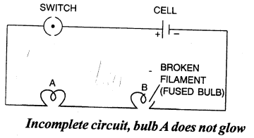 Selina Concise Physics Class 7 ICSE Solutions Chapter 7 Electricity and Magnetism 19