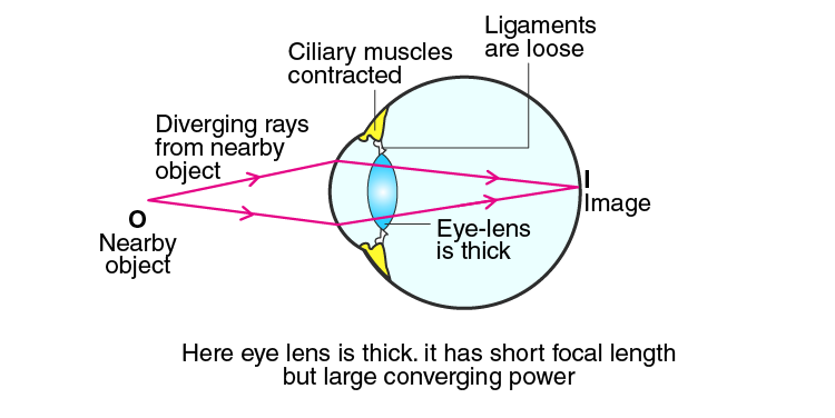 Lakhmir Singh Solutions Class 10 Physics Chapter 6 -3 Lakhmir Singh Solutions Class 10 Physics Chapter 6 -3