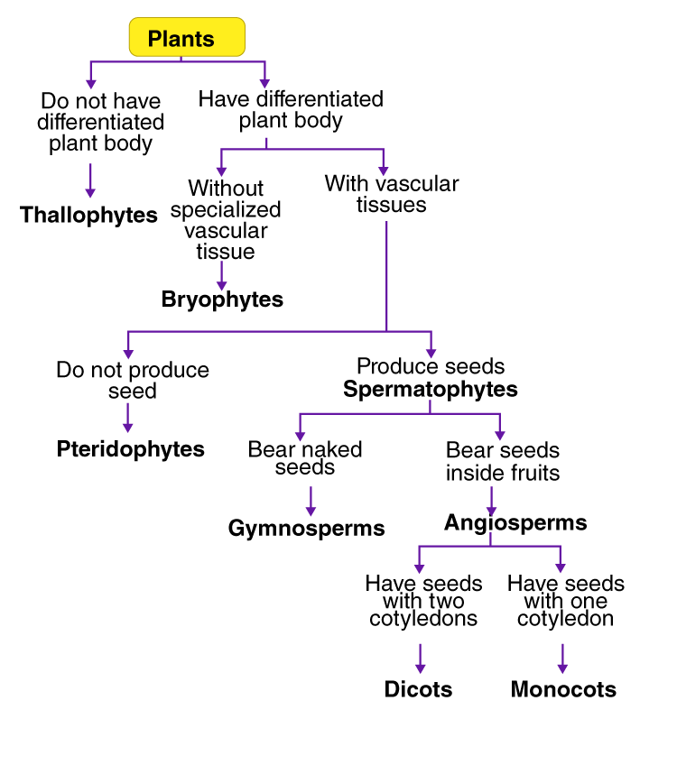 Lakhmir Singh Solutions Class 9 Biology Chapter 4-2
