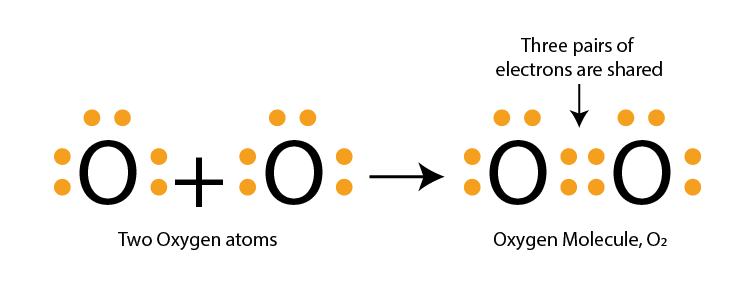 Lakhmir Singh Solutions of Class 10 Chemistry Chapter 3 Lakhmir Singh Solutions of Class 10 Chemistry Chapter 3 Metals and Non-Metals-19