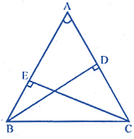 ML Aggarwal Solutions for Class 10 Maths Chapter 13 ML Aggarwal Solutions for Class 10 Maths Chapter 13 Similarity Image 17
