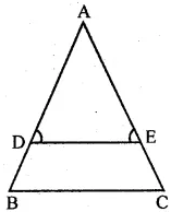 ML Aggarwal Solutions for Class 10 Maths Chapter 13 ML Aggarwal Solutions for Class 10 Maths Chapter 13 Similarity Image 42