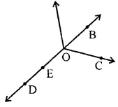 ML Aggarwal Solutions for Class 6 Maths Chapter 10 ML Aggarwal Solutions for Class 6 Maths Chapter 10 Image 4