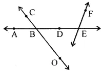 ML Aggarwal Solutions for Class 6 Maths Chapter 10 ML Aggarwal Solutions for Class 6 Maths Chapter 10 Image 6
