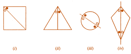 ML Aggarwal Solutions for Class 7 Maths Chapter 14 ML Aggarwal Solutions for Class 7 Maths Chapter 14 Image 6