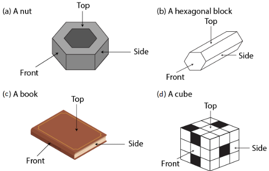 ML Aggarwal Solutions for Class 8 Chapter 17 ML Aggarwal Solutions for Class 8 Chapter 17 Image 20