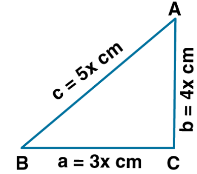 ML Aggarwal Solutions for Class 9 Chapter 16 Image 9