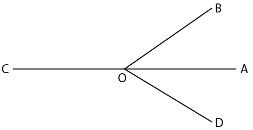 Selina Solutions Concise Mathematics Class 6 Chapter 24 Selina Solutions Concise Mathematics Class 6 Chapter 24 - 7