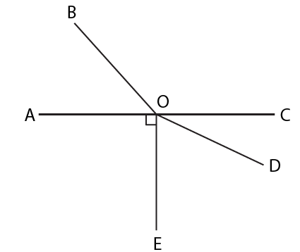 Selina Solutions Concise Mathematics Class 6 Chapter 24 Selina Solutions Concise Mathematics Class 6 Chapter 24 - 9