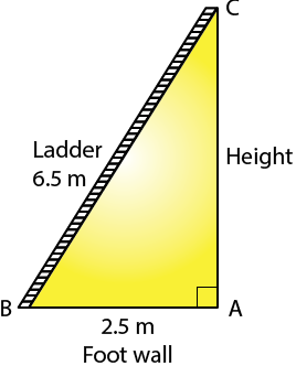 Selina Solutions Concise Maths Class 7 Chapter 16 Image 16