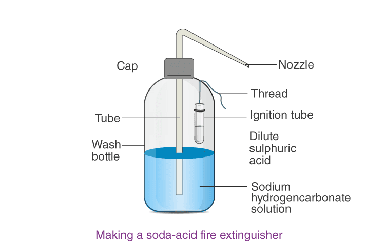 Lakhmir Singh Solutions of class 10 Chemistry Chapter 2 Acids, Bases and Salts-2