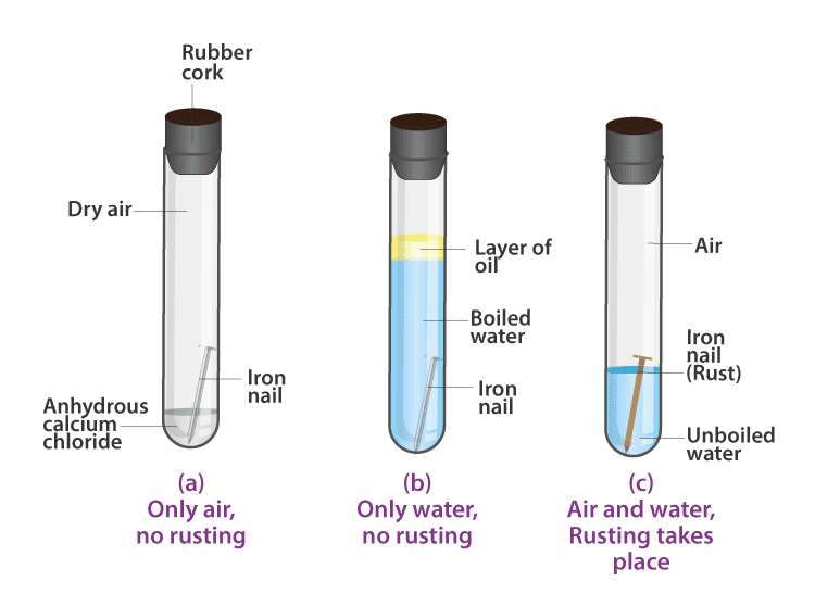 Lakhmir Singh Solutions of Class 10 Chemistry Chapter 3