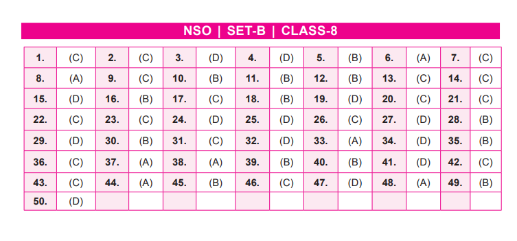 NSO Set-B Answer Key 2022 for Class 8