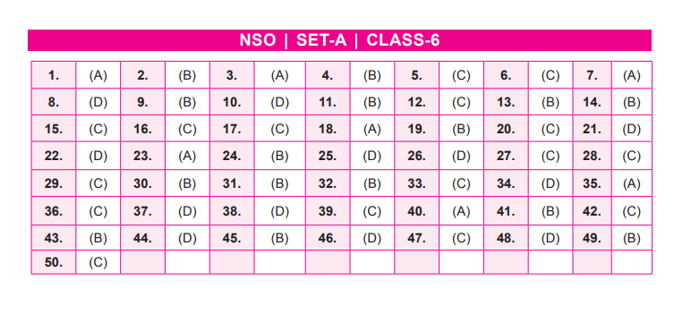 NSO Set-A Answer Key 2022 for Class 6