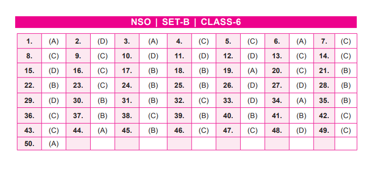 NSO Set-B Answer Key 2022 for Class 6