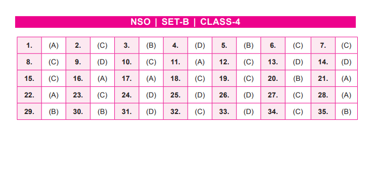 NSO Set-B Answer Key 2022 for Class 4