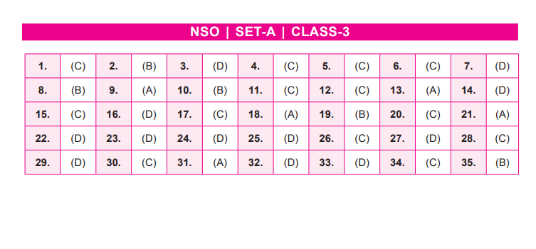 NSO Set-A Answer Key 2022 for Class 3