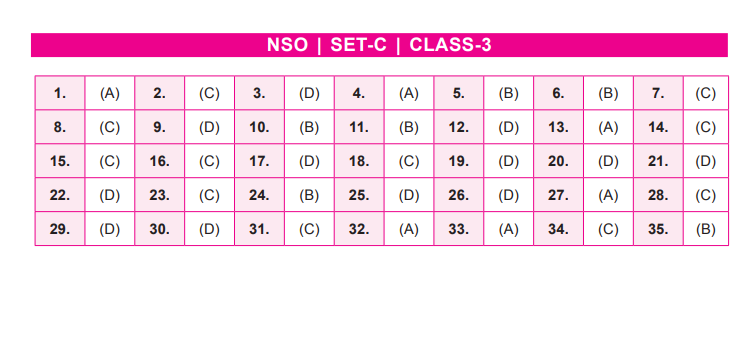 NSO Set-C Answer Key 2022 for Class 3