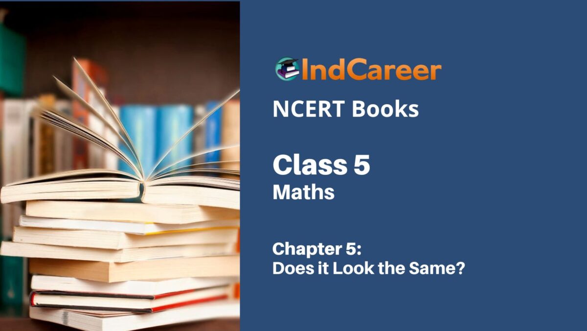NCERT Book for Class 5 Maths Chapter 5  Does it Look the Same?