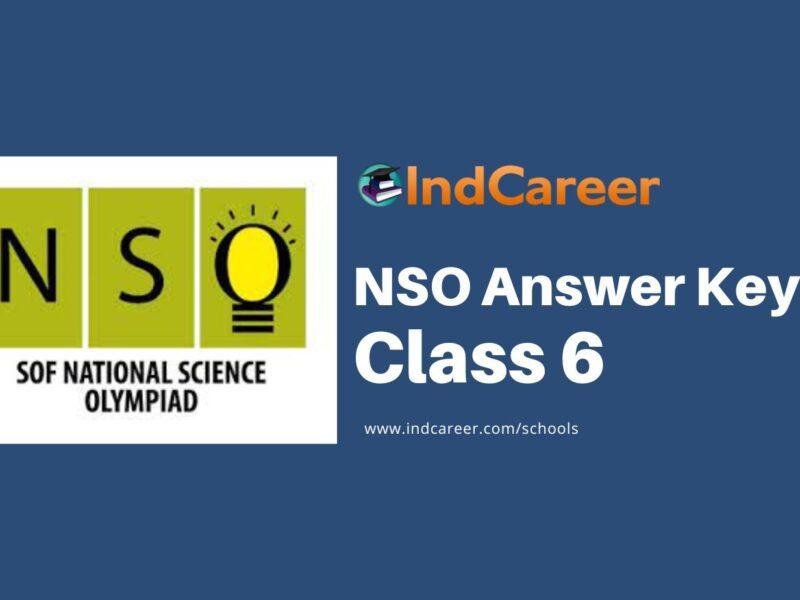 NSO Answer Keys for Class 6