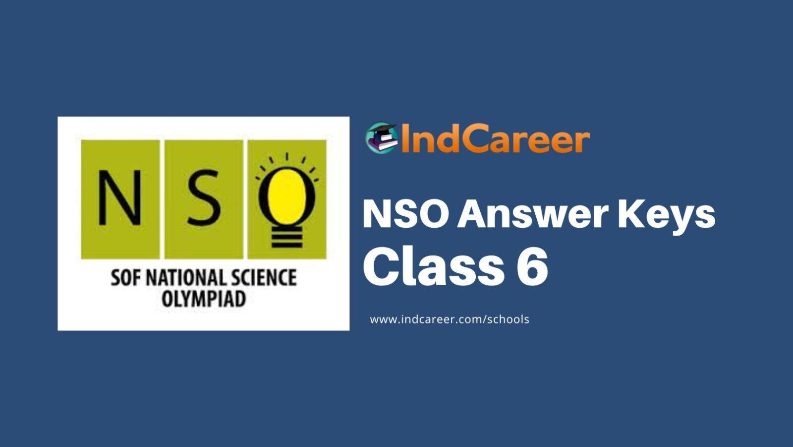 NSO Answer Keys for Class 6