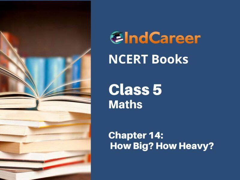 NCERT Book for Class 5 Maths Chapter 14 How Big? How Heavy?