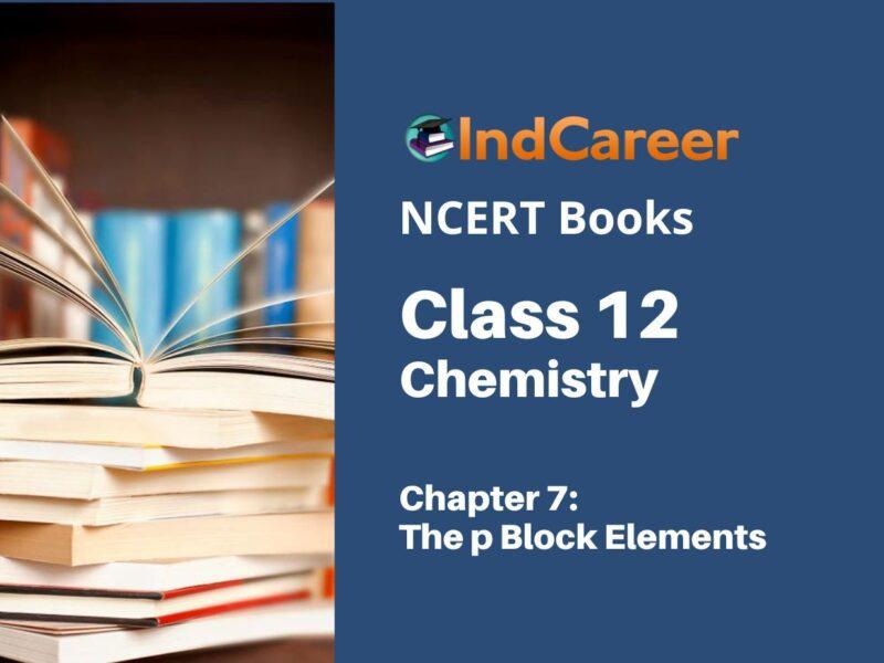 NCERT Book for Class 12 Chemistry Chapter 7 The p Block Elements