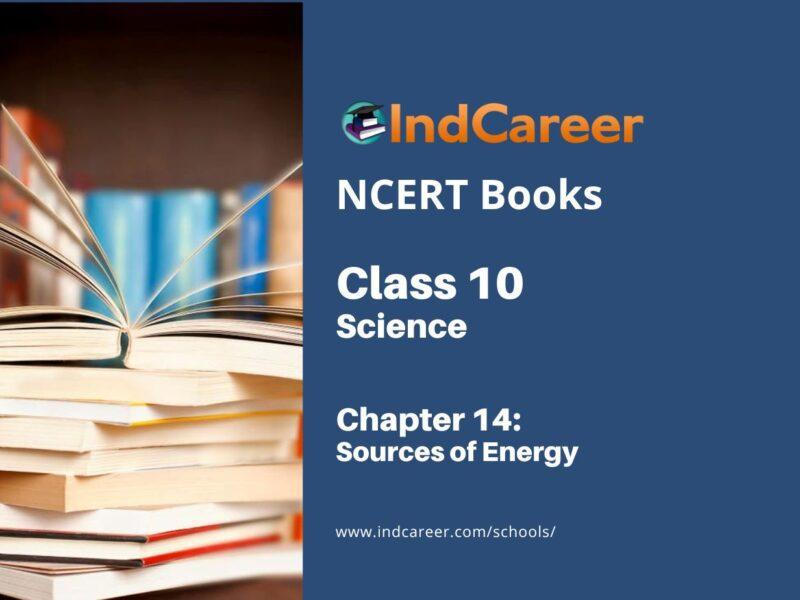 NCERT Book for Class 10 Science Chapter 14 Sources of Energy