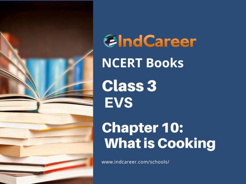 NCERT Book for Class 3 EVS Chapter 10-What is Cooking