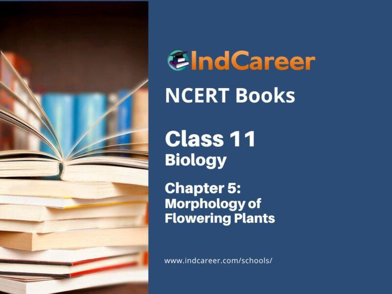 NCERT Book for Class 11 Biology Chapter 5 Morphology of Flowering Plants