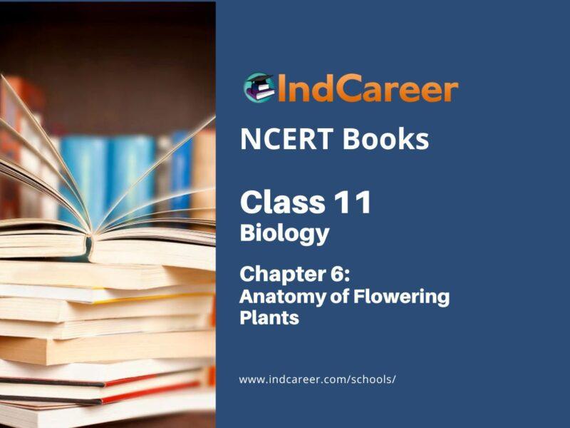 NCERT Book for Class 11 Biology Chapter 6 Anatomy of Flowering Plants
