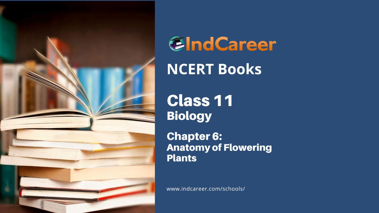NCERT Book for Class 11 Biology Chapter 6 Anatomy of Flowering Plants