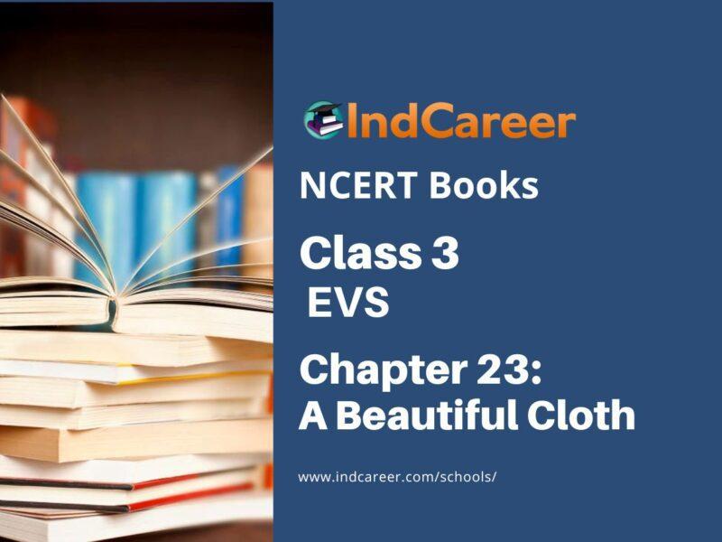 NCERT Book for Class 3 EVS Chapter 23-A Beautiful Cloth