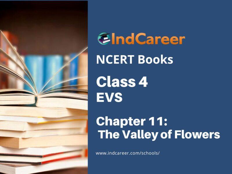 NCERT Book for Class 4 EVS Chapter 11 The Valley of Flowers