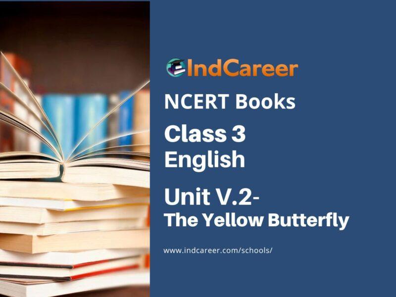 NCERT Book for Class 3 English: Unit V.2-The Yellow Butterfly