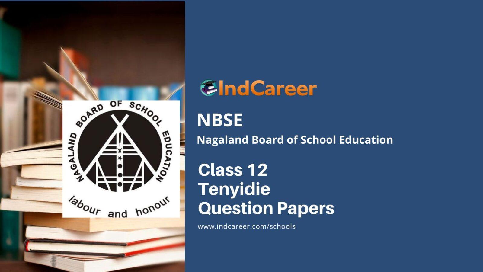 NBSE Class 12 Tenyidie Question Papers