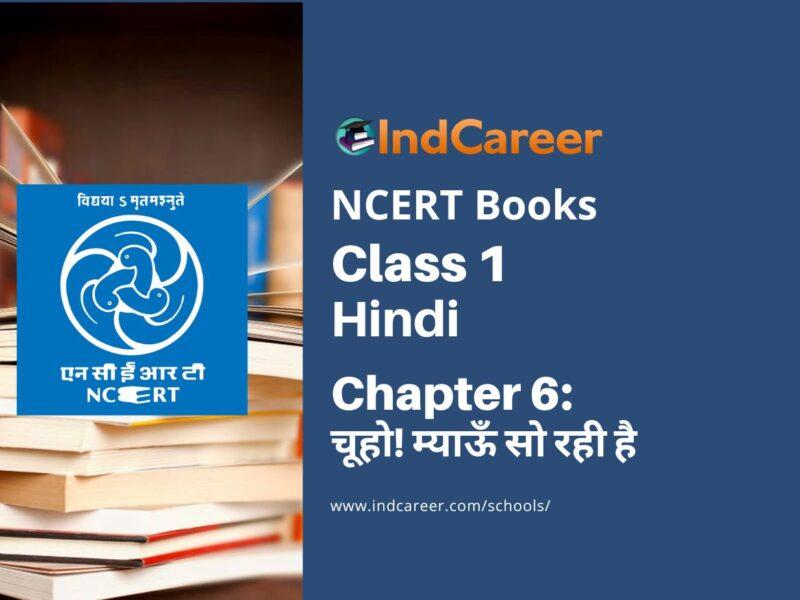 NCERT Book for Class 1 Hindi :Chapter 6-चूहो! म्याऊँ सो रही है