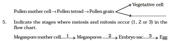 Sexual Reproduction in Flowering Plants