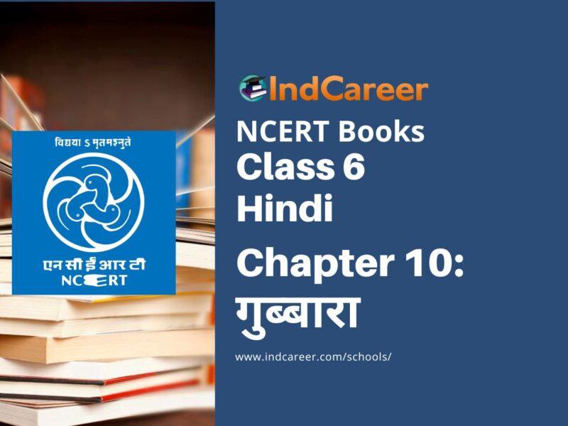 NCERT Book for Class 6 Hindi(Doorva Part 1) : Chapter 10-गुब्बारा