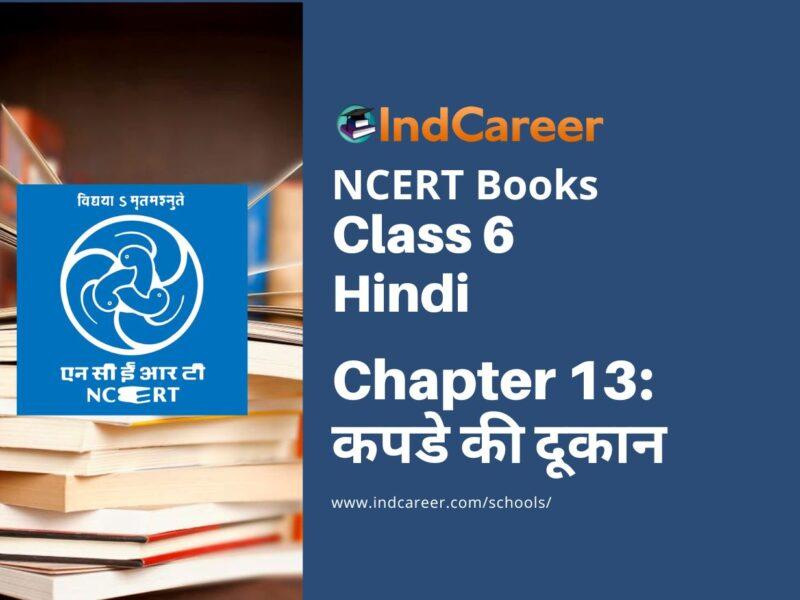 NCERT Book for Class 6 Hindi(Doorva Part 1) : Chapter 13-कपडे की दूकान