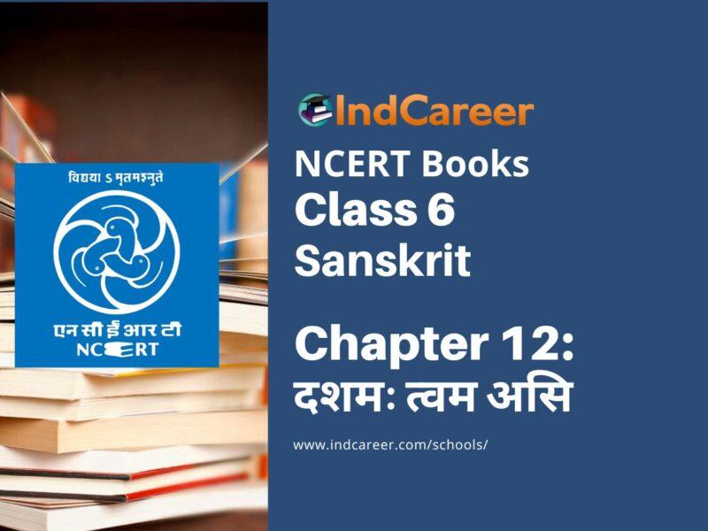 NCERT Book for Class 6 Sanskrit : Chapter 12-दशमः त्वम असि