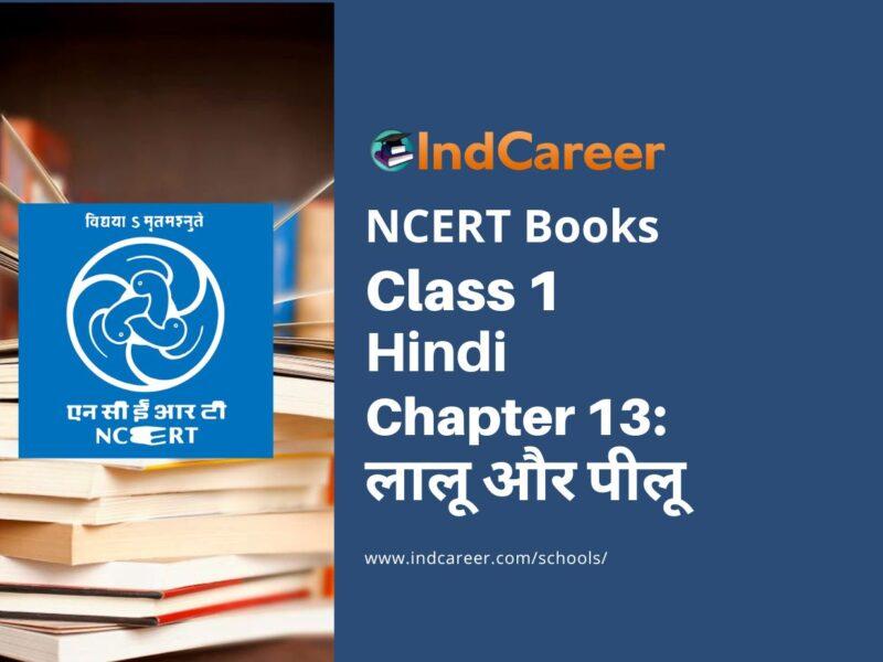 NCERT Book for Class 1 Hindi :Chapter 13-लालू और पीलू